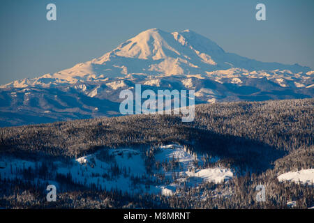 Mt Rainier von Mission gesehen Grat etwa 69 Meilen nordöstlich im Winter scheint sehr groß, weil der relativ niedrigen Ländereien rund um den Gipfel. Stockfoto