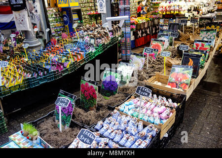 Dec 20, 2017 - Blumen und Samen zum Verkauf an der Bloemenmarkt, Blumenmarkt, Amsterdam, Holland Stockfoto