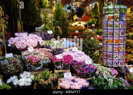 Dec 20, 2017 - Blumen und Samen zum Verkauf an der Bloemenmarkt, Blumenmarkt, Amsterdam, Holland Stockfoto