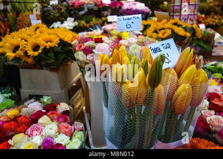 Dec 20, 2017 - Blumen und Samen zum Verkauf an der Bloemenmarkt, Blumenmarkt, Amsterdam, Holland Stockfoto