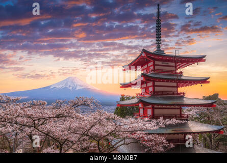 Mount Fujisan schöne Landschaften auf den Sonnenuntergang. Fujiyoshida, Japan in der Chureito Pagode und Mt. Fuji im Frühjahr mit Kirschblüten. Stockfoto