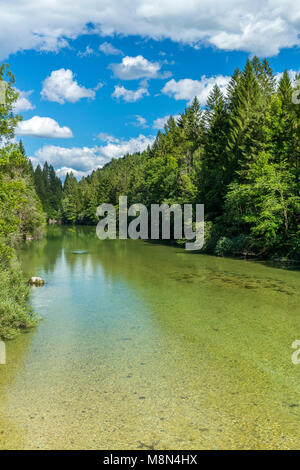 Sava Bohinjka, Bodešče, Obere Krain, Slowenien, Europa Stockfoto