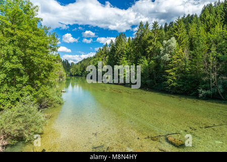 Sava Bohinjka, Bodešče, Obere Krain, Slowenien, Europa Stockfoto