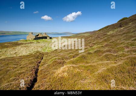 Insel Rousay, Orkney, Schottland. Verfallene ruine Croft House Hill Farm in der Nähe von Westness. Westen über Eynhallow Sound. Pfad durch Frühsommer Heather Stockfoto