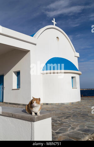 Zypern, traditionelle griechische orthodoxe Kirche (Agioi Anargiroi) mit cat, gemeinsame in Zypern. Stockfoto