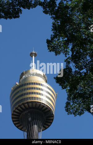 BLICK AUF DIE SPITZE DES CENTREPOINT TOWER (SYDNEY TOWER) IM HERZEN VON SYDNEY, NEW SOUTH WALES, AUSTRALIEN. Stockfoto