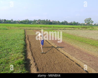 Nicht identifizierte Frau harken die Vorbereitung der Böden, auf Gemüse Feld am frühen Morgen in Hoi An Vietnam Stockfoto