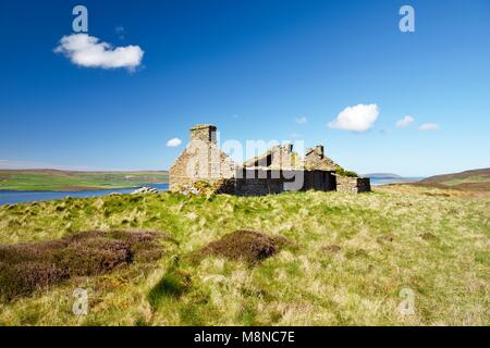 Insel Rousay, Orkney, Schottland. Verfallene ruine Croft House Hill Farm in der Nähe von Westness. Westen über Eynhallow Sound. Pfad durch Frühsommer Heather Stockfoto
