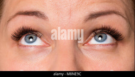 Close-up Gesicht der schönen jungen Frau mit schönen blauen Augen und große schöne Wimpern und Augenbrauen. Makro des menschlichen Auges - expressiven Blick eröffnen. Stockfoto