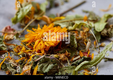 Motley Gras auf Licht strukturierten Hintergrund, Nahaufnahme, geringe Tiefenschärfe, selektiver Fokus, Makro. Alternative Medizin. Wellness natürliches Konzept. Dayspa Stockfoto