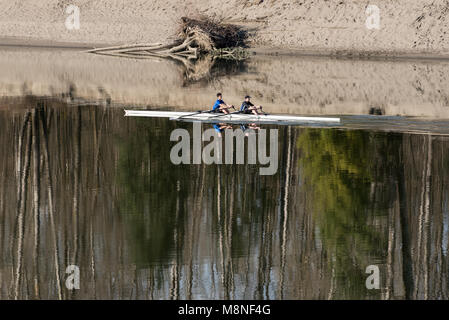 Rudern eine racing Shell auf Bedford Kanal der unteren Frasier River, Fort Langley, British Columbia. Stockfoto