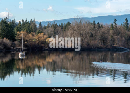 Rudern eine racing Shell auf Bedford Kanal der unteren Frasier River, Fort Langley, British Columbia. Stockfoto