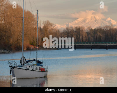 Segelboot auf Bedford Kanal der unteren Frasier River, Fort Langley, British Columbia. Mount Baker im Staat Washington ist im Hintergrund. Stockfoto