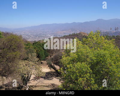 Panorama der mexikanische Landschaft und Landschaften mit farbenfrohen Pflanzen und Bäume von Monte Alban in der Nähe von Oaxaca Stadt in Mexiko gesehen, klare blaue Himmel in 2018 Stockfoto