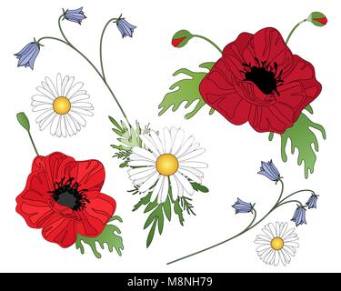 Ein Vektor Abbildung im EPS 10 Format von Wildblumen einschließlich Mohnblumen Glockenblumen und Gänseblümchen auf weißem Hintergrund angeordnet Stock Vektor