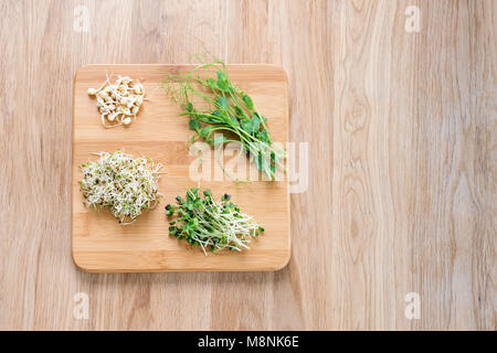 Verschiedene Arten von Micro Grüns auf Holz- Hintergrund. Gesunde Ernährung Konzept der frischen Garten produzieren organisch als Symbol der Gesundheit und Vitamine aus der Natur gewachsen. Microgreens bereit für das Kochen. Stockfoto