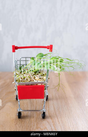 Micro Grüns in Warenkorb auf Holz- Hintergrund. Verschiedene Arten von microgreens zum Verkauf. Gesunde Ernährung Konzept der frischen Garten produzieren biologisch angebaut, Symbol der Gesundheit. Vitamine aus der Natur. Stockfoto