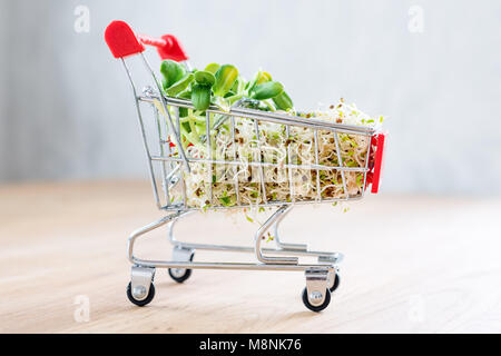 Micro Grüns in Warenkorb auf Holz- Hintergrund. Verschiedene Arten von microgreens zum Verkauf. Gesunde Ernährung Konzept der frischen Garten produzieren biologisch angebaut, Symbol der Gesundheit. Vitamine aus der Natur. Stockfoto