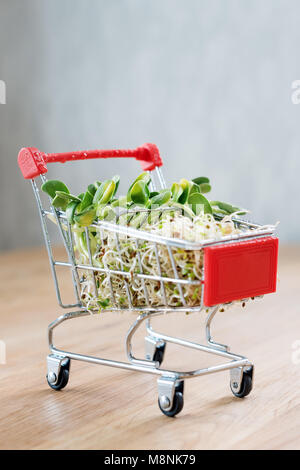 Micro Grüns in Warenkorb auf Holz- Hintergrund. Verschiedene Arten von microgreens zum Verkauf. Gesunde Ernährung Konzept der frischen Garten produzieren biologisch angebaut, Symbol der Gesundheit. Vitamine aus der Natur. Stockfoto