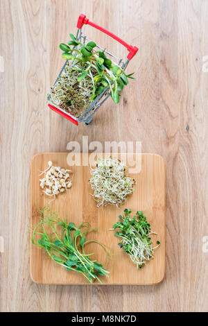 Micro Grüns in Warenkorb auf Holz- Hintergrund. Verschiedene Arten von microgreens zum Verkauf. Gesunde Ernährung Konzept der frischen Garten produzieren biologisch angebaut, Symbol der Gesundheit. Vitamine aus der Natur. Stockfoto