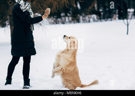 Bild von Mädchen mit Labrador auf Spaziergang im Winter Park Stockfoto