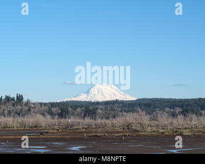 Blick auf den Mount Rainier vom Nisqually National Wildlife Refuge, März 2018 Stockfoto