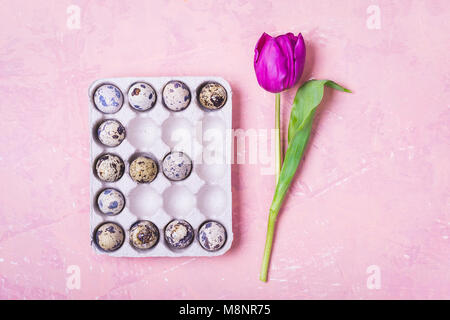 Ostern Konzept. Der Buchstabe E der Eier. Tulip. Stockfoto