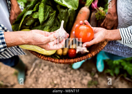 Senior paar Gartenarbeit in den Garten im Hinterhof. Stockfoto