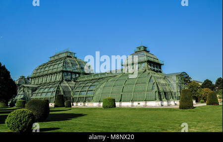 Palmenhaus im Schlosspark Schönbrunn Stockfoto