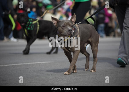 Indianapolis, Indiana, USA - 16. März 2018, die St. Patrick's Day Parade ist eine kulturelle und religiöse Feier aus Irland zu Ehren des Heiligen Patr Stockfoto