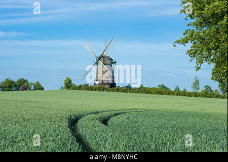 Farver Mühle, Wangles, Ostsee, Schleswig-Holstein, Deutschland, Europa Stockfoto