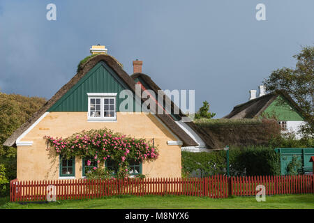 Typisch dänisches Ferienhaus in Soenderho, Insel Fanø, Jütland, Dänemark Stockfoto