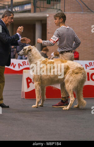 22. INTERNATIONALE HUNDEAUSSTELLUNG GIRONA März 17, 2018, Spanien, Russische Wolfshund Stockfoto