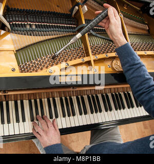 Nahaufnahme der Hand und Werkzeuge der Tuner arbeiten an Grand Piano Stockfoto