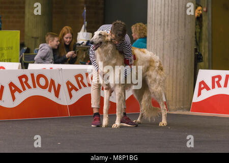 22. INTERNATIONALE HUNDEAUSSTELLUNG GIRONA März 17, 2018, Spanien Stockfoto