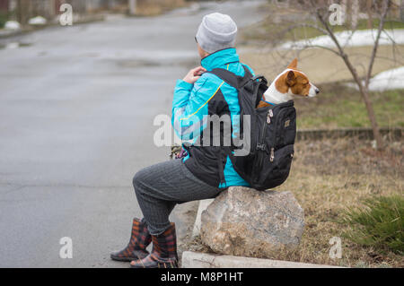 Reife Frau mit kurzen Rest sitzen auf einem Stein beim Gehen mit ihr faul Basenji Hund innen Rucksack Stockfoto