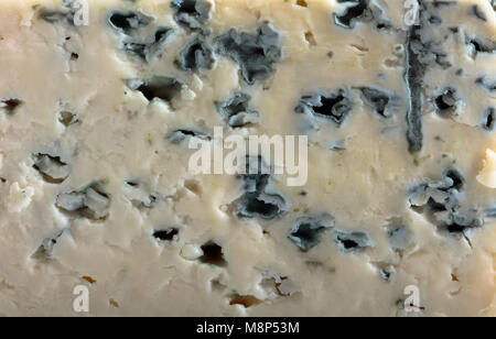 In der Nähe von Weichen blauen Käse, makroaufnahme. Stockfoto