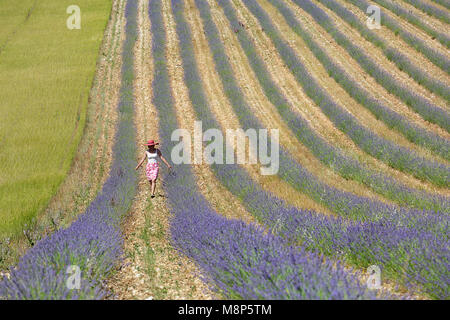 Frau in geblümten Kleid mit einem rosa Hut gehen auf Lavendelfelder, Provence, Frankreich. Stockfoto