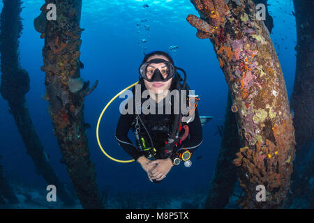 Scuba Diver unter dem Salt Pier, Bonaire Stockfoto