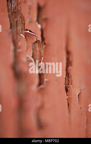 Peeling distressed roter Farbe auf eine alte Tür Stockfoto