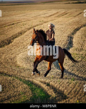 Bild von Pferd mit Reiter in Dressur Reitsport Wettbewerbe. Details des Pferdesports Ausrüstung Stockfoto