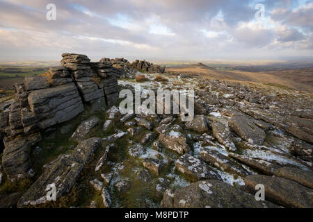 Ein Abstauben des Schnees an belstone Gemeinsame auf Dartmoor. Stockfoto