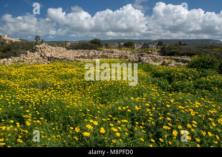 Das archäologische Museum in Ayia Thekla, Agios Georgious am südlichen Ende der Halbinsel Akemas, Paphos, Zypern Stockfoto