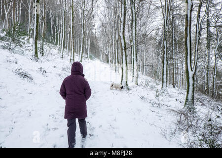 Hund, Wanderer, Wandern, durch, Schnee, bedeckt, Küste, Küste, Pfad, in, Wälder, Wald, oben, Ofen, Hamlet, Ceredigion, Wales, Mitte, Wales, Welsh, landschaft, winter, UK, Stockfoto