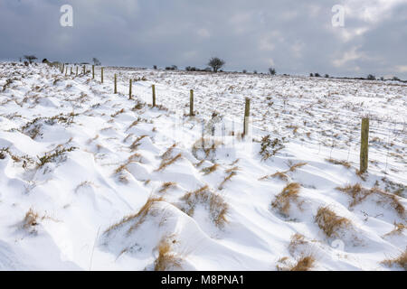 Schnee auf der Mendip Hills National Landscape in der Nähe von Cheddar, Somerset, England. Stockfoto