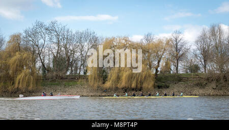 In Putney, London, UK. 19. März 2018. Boat Race Praxis Outing. Als Vorbereitung für die Cancer Research UK Regatten am 24. März 2018, Cambridge University Women's Yacht Club Blue Crew Frost während einer Praxis Outing auf dem Das Boat Race Tideway Kurs mutig. Trainer Rob Baker folgt die Crew Liste: - CUWBC Blau Crew). Bug: Tricia Smith, 2) Imogen gewähren, 3) Kelsey Barolak, 4) Thea Zabell, 5) Paula Wesselmann, 6) Alice White, 7) Myriam Goudet-Boukhatmi, Schlaganfall: Olivia Coffey, Cox: Sophie Shapter. Credit: Duncan Grove/Alamy leben Nachrichten Stockfoto