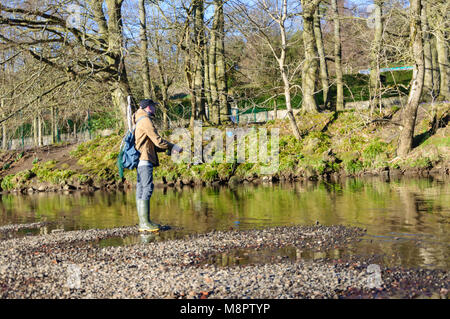 Glasgow, Schottland, Großbritannien. 19. März, 2018. UK Wetter: Ein junger Mann Fliege Fischen vom Ufer der Weißen Warenkorb Wasser an einem sonnigen Nachmittag in Pollok Country Park. Credit: Skully/Alamy leben Nachrichten Stockfoto