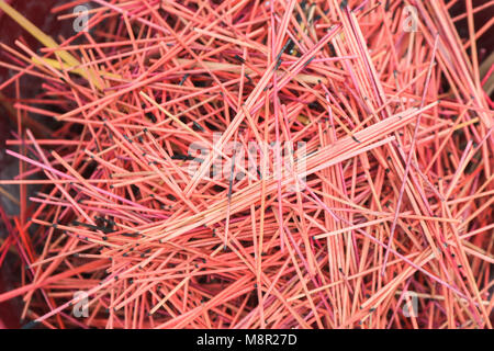 Kuala Lumpur Malaysia. 20. März 2018. Räucherstäbchen von Anbetern verbrannt Nach dem Anbieten Segnungen an der Chetawan thailändischen buddhistischen Tempel in Kuala Lumpur Credit: Amer ghazzal/Alamy leben Nachrichten Stockfoto