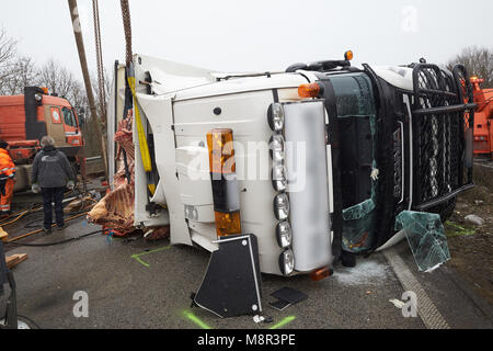 20. März, Deutschland, Boppard: Erholung der Arbeitnehmer versuchen, rechts ein Moloch mit Rindfleisch, die auf der Autobahn 61 (A61) Autobahn in der Nähe von Boppard umgeworfen. Die Autobahn musste mehrere Stunden gesperrt werden. Foto: Thomas Frey/dpa Stockfoto