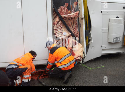 20. März, Deutschland, Boppard: Erholung der Arbeitnehmer versuchen, rechts ein Moloch mit Rindfleisch, die auf der Autobahn 61 (A61) Autobahn in der Nähe von Boppard umgeworfen. Die Autobahn musste mehrere Stunden gesperrt werden. Foto: Thomas Frey/dpa Stockfoto